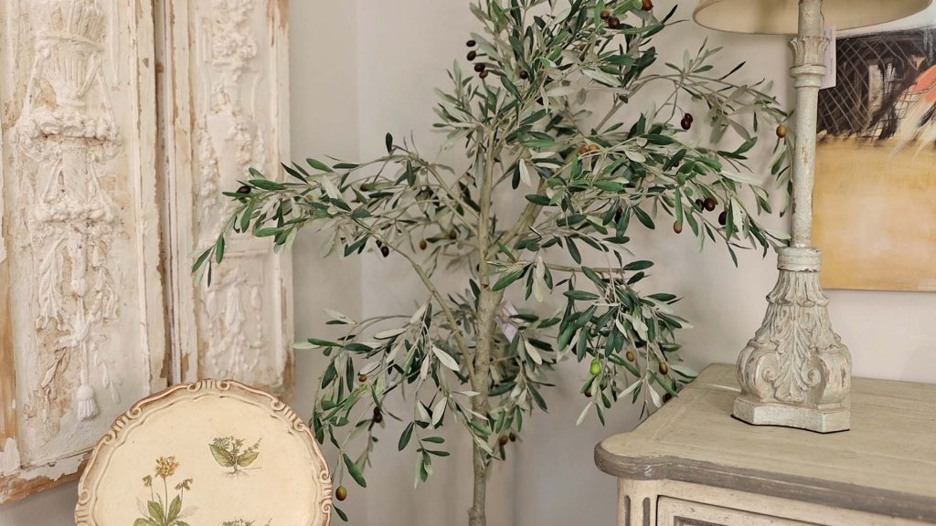 Olive tree at Village Antiques to show green as a neutral color in the farmhouse fall decor trend, by Amitha Verma.